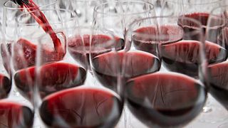 Dégustation de vins et visite du Haut Piémont à La Piemontina