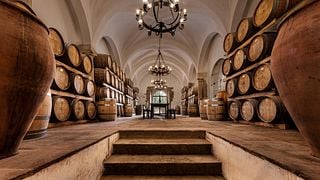 Terroir Tasting | Alentejo, Portugal
