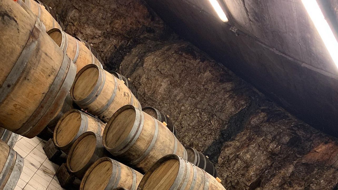 Tour dei vigneti, degustazione di vini e pranzo tipico nella zona di Trieste