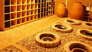 Dégustation de vins et visite à Winnica De