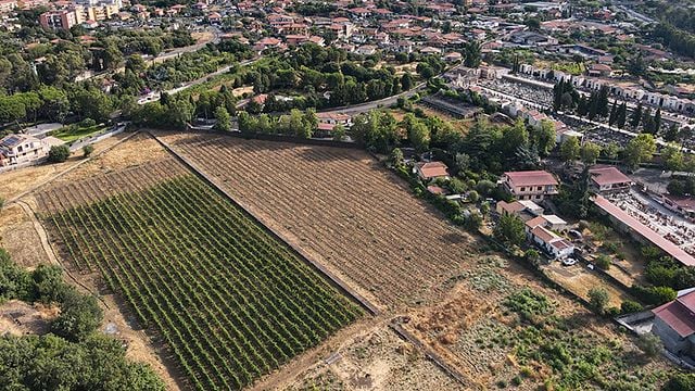 Sunset tour, wine tasting and dinner at Etna Urban Winery