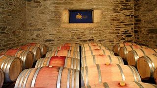Tour del vino e degustazione presso Quinta Do Monte Travesso