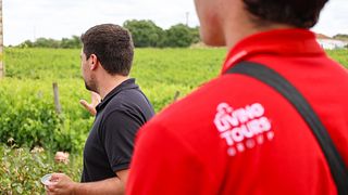 Visite historique d'Évora et des vins de l'Alentejo en petit groupe