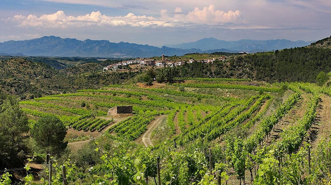 Private Priorat Tour: Exclusive Cellars, Wines and Unique Countryside