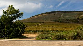 Kovács Nimród Winery