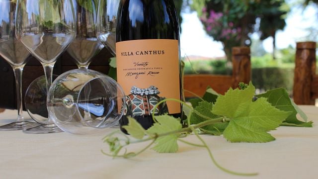 Dégustation de vins et visite de la Villa Canthus