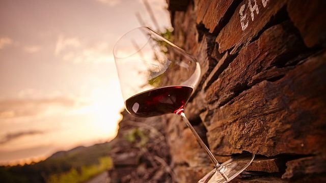 Degustazione di vini presso l'azienda vinicola Jean Stodden