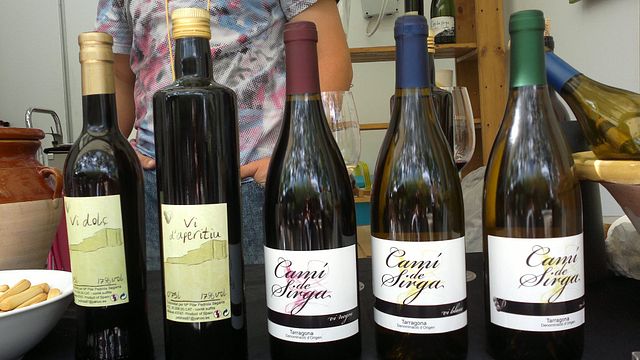 Degustazione di vini popolare al Celler Pedrola