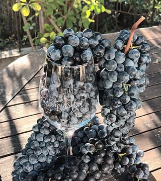 Dégustation et visite de vins au Château La Rose Monturon