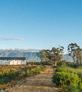 Olivedale Wine Estate