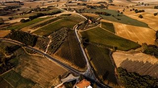 Umbria Vineyard Tour & Wine Tasting Experience