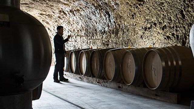 Visita guidata a Clos Roussely