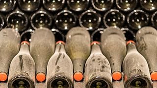 Experiência gastronômica e vinícola: tour de vinhos e almoço ou jantar com 4 pratos de produtos sazonais harmonizados com 7 vinhos. 