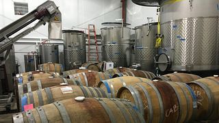 Pierce Ranch Vineyards