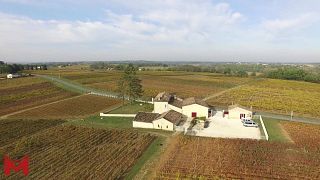 Dégustation et visite de vins au Château Clarisse