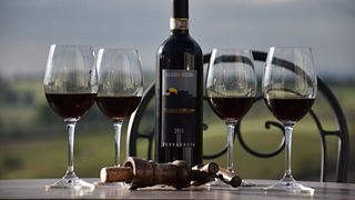 Palazzo Vecchio Winery