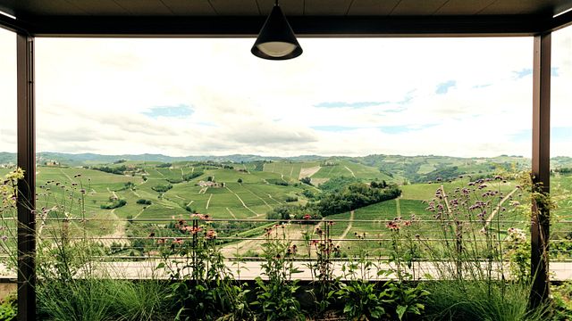 The taste of the Langhe: 3 Barolos from Fortemasso plus 1 surprise wine