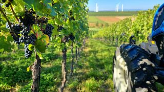 Weinverkostung & Zeit genießen im Weingut Ernst Bernhard