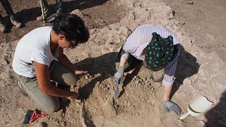 Besuch der archäologischen Stätte La Biagiola (exklusive Öffnung) und Verkostung