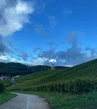 Domaine Schmitt-Carrer