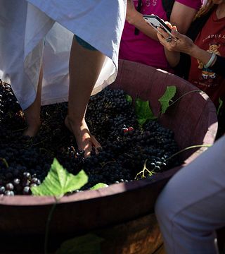 Tour a Vayots Dzor Noravank Khor Virap Areni Wine Impara un mestiere Armenia Hiking