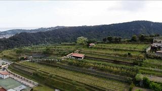 Torre Crus 