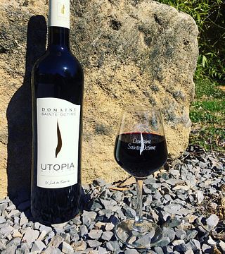 Cata de vinos y visita guiada en Domaine Sainte Octime