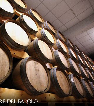 Degustação de vinhos e tour em Terre del Barolo