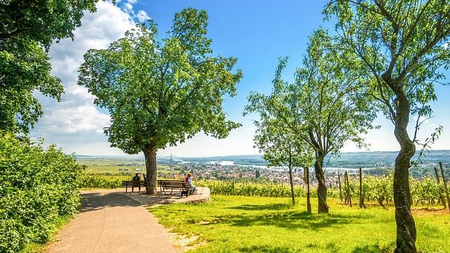Weinprobe und Führung im Weingut Trenz