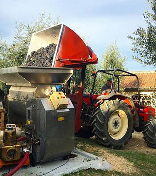Degustazione e tour di vini a Poggio al Bosco