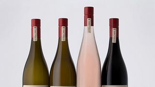 Dégustation de vins et visite chez Simon Tolley Wines