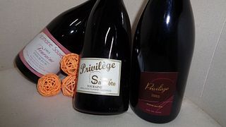 Domaine Sauvète: A Tradition of Excellence