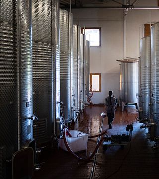 Visita a Buccia Nera “Tre Chianti” y degustación de “Aceite EVO Orgánico”.