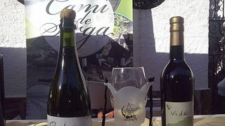 Catalonia's Pedrola Winery: Legacy & Tasting Journey