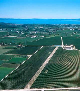 Cantine Lenotti
