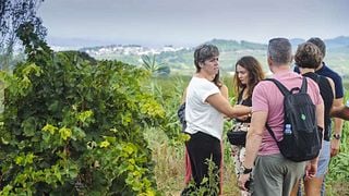 Degustando o Passado, Desfrutando o Presente | Vinícola Mas Comtal