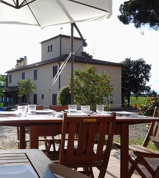 Cata básica de 4 vinos con visita a Chianti en la bodega Terre Di Perseto