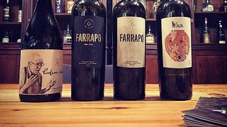 Dégustation de vins dans la nature à Gerações Da Talha