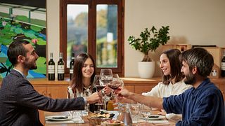 Degustação de vinhos e tour em Rechsteiner