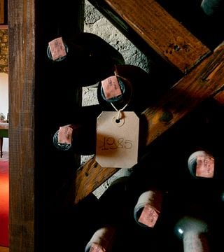 Weinprobe und Tour in Camigliano 