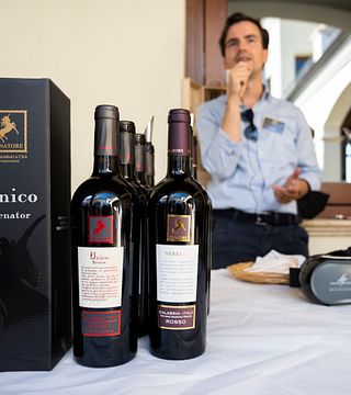 Expérience Vin Sénateur