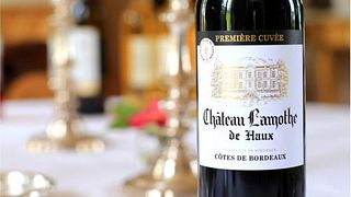 Degustazione di vini e visita allo Château Lamothe De Haux