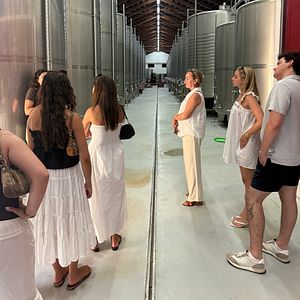 Great wine tour and food! 