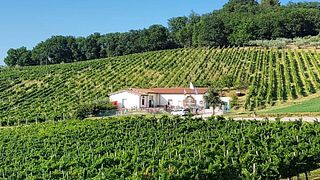 Cata de tres vinos de la bodega La Veneranda