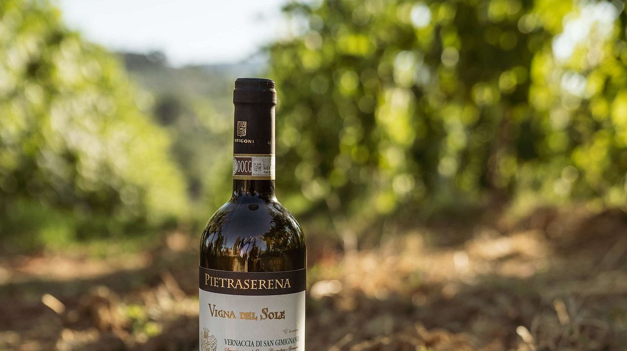 Weinprobe und Tour in Pietraserena