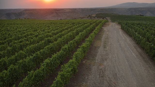 Savalan - Aspi Winery