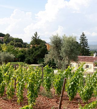 Domaine de La Font des Pères