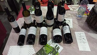 Weinprobe und Tour bei Marco Canato