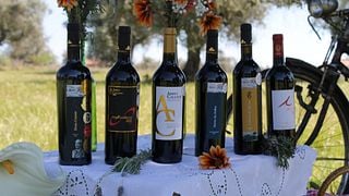 Prova de Vinhos na Fundação Abreu Callado