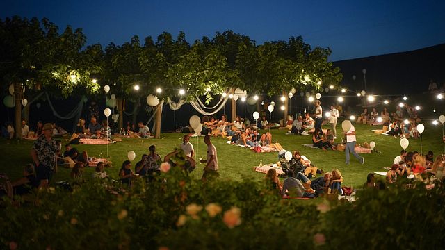 Weinprobe und Führung im Tenute Muròla